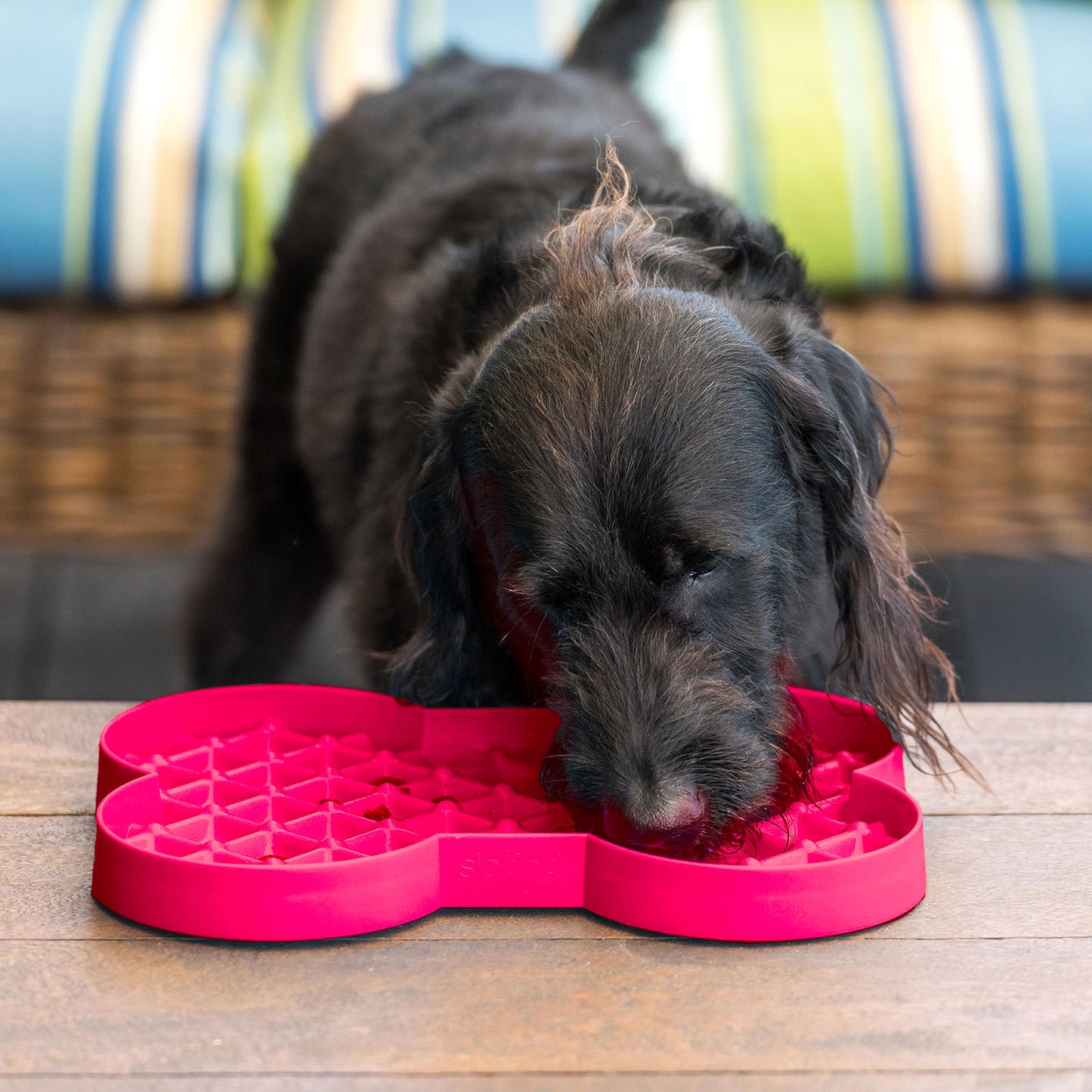 Lickimat - SLODOG - Per un'alimentazione piu lenta e controllata