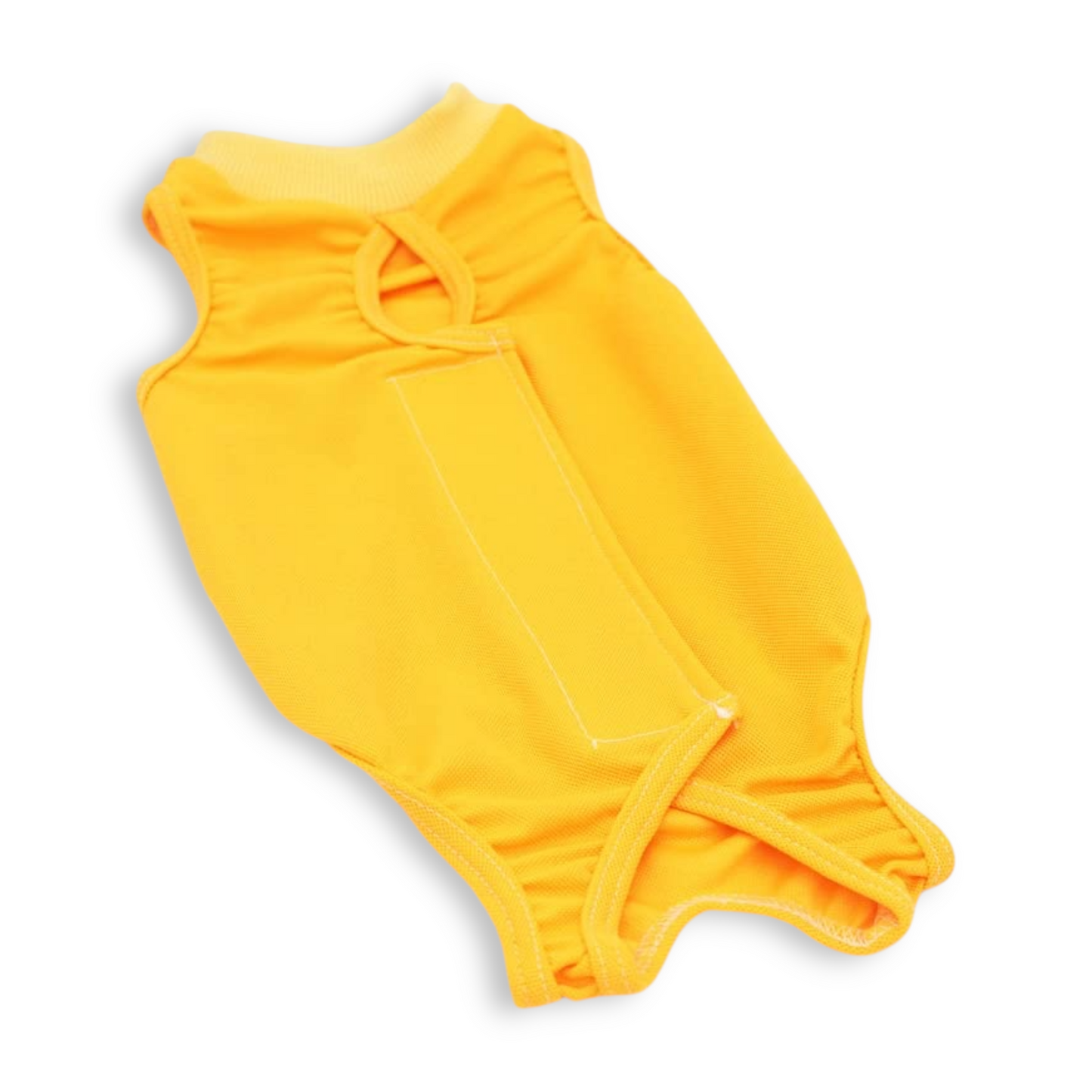 BODY POST OPERATORIO PER GATTI