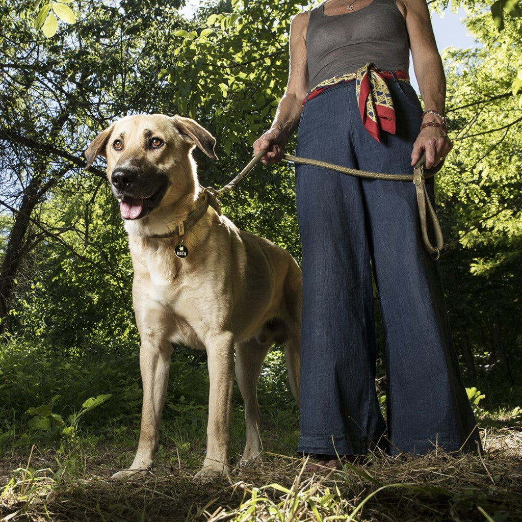 Cane con medaglietta personalizzata per cani in metallo con logo "ROCK"
