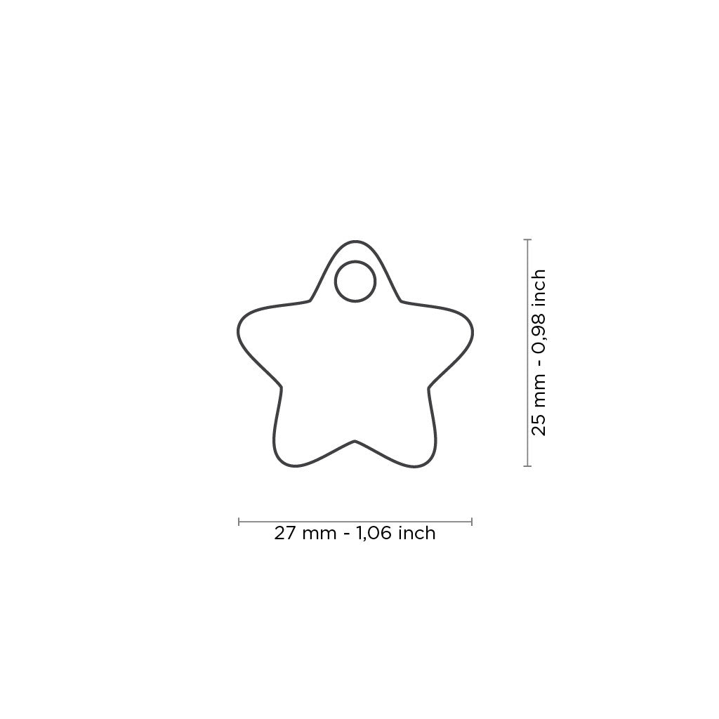 CHSTAR01_Medaglietta_MyFamily_Dog_is_Good_size