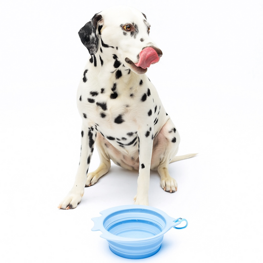 Ciotola collassabile da viaggio 1400ml