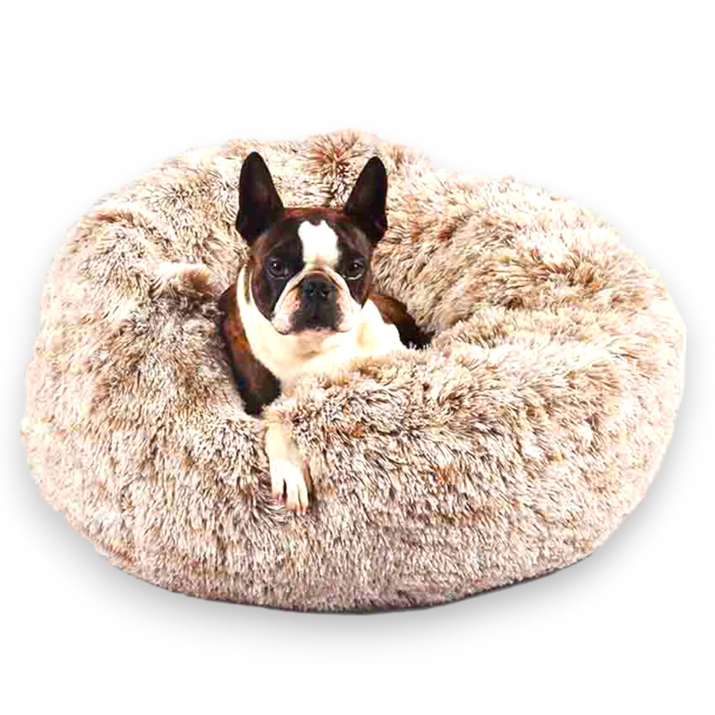 CIAMBELLA ANTISTRESS POILU BOBBY