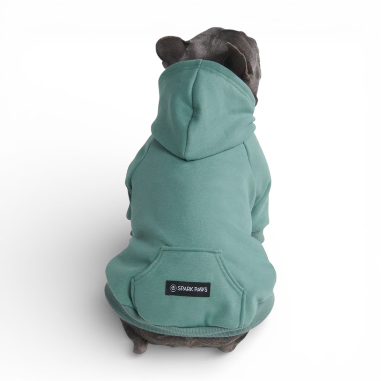 Felpa per cani con cappuccio Essential Teal