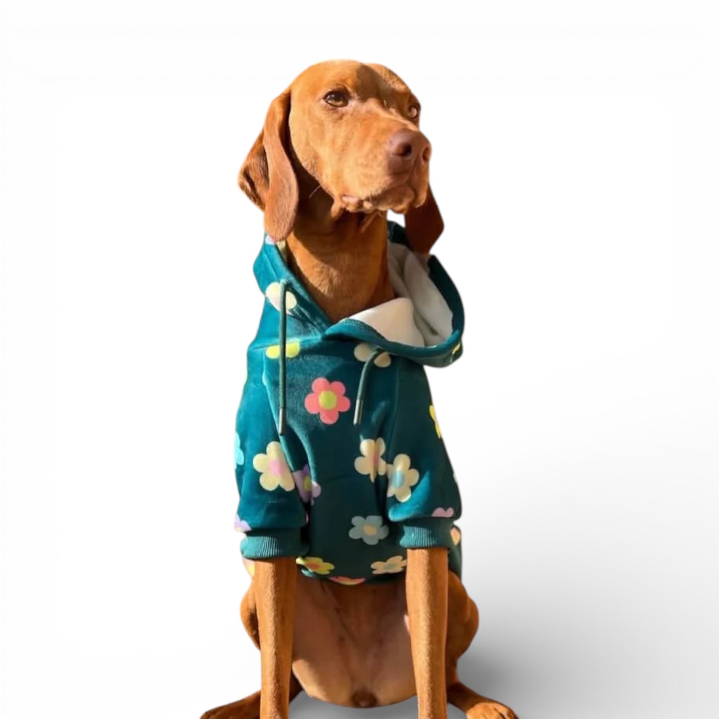 Felpa per cani Spark Paws Daisy