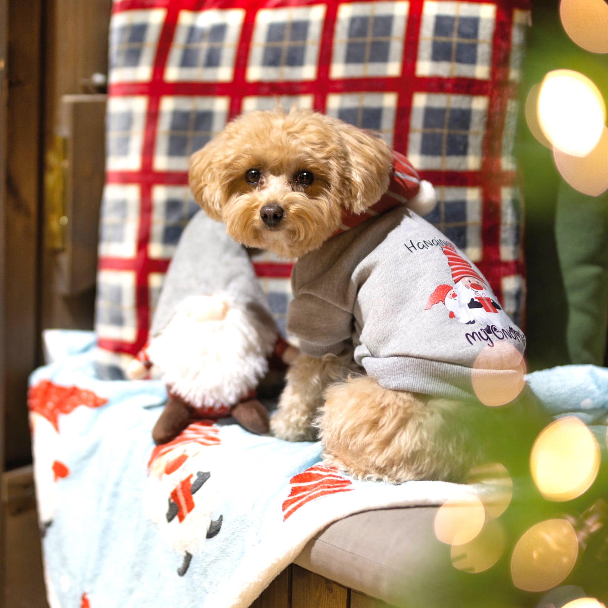 Croci - Xmas Gnomies - Felpa natalizia per cani