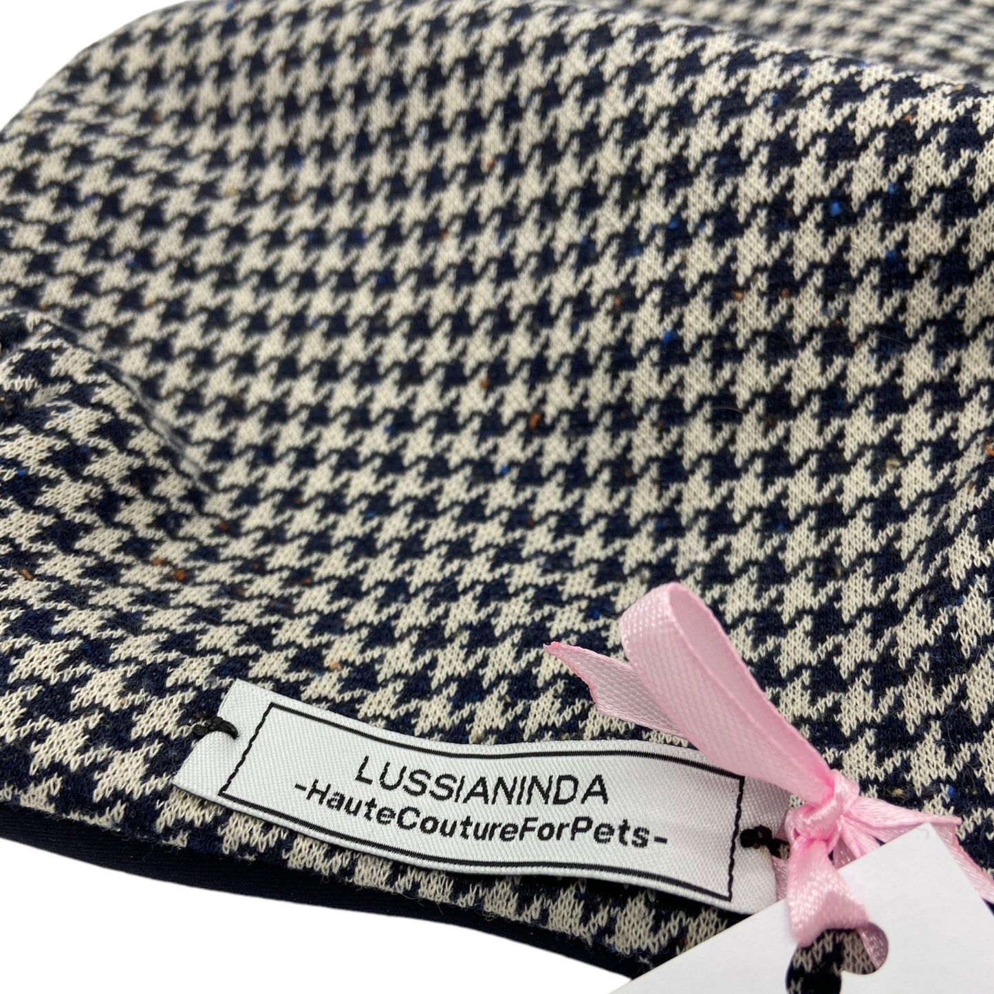 LUSSIANINDA_PIED_000_20240201_23