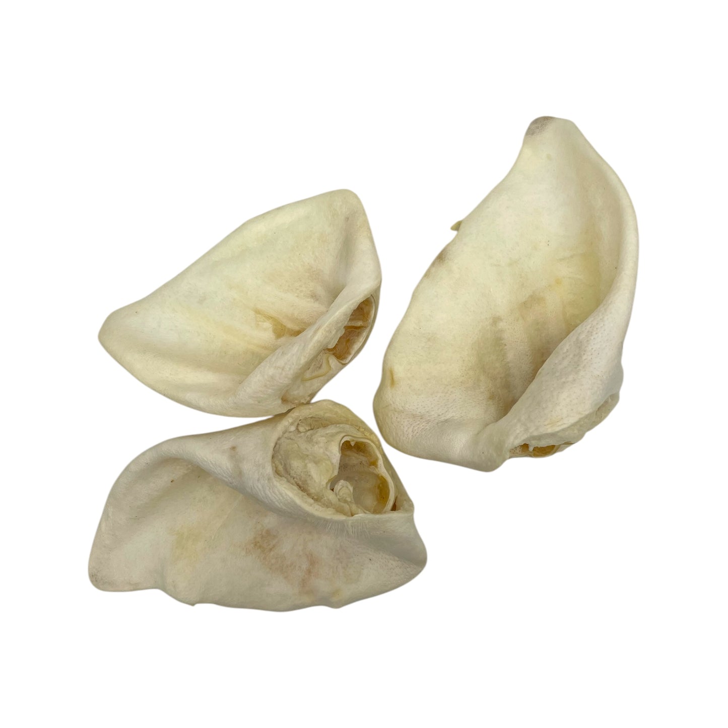 Orecchie di suino essiccate alimento naturale per cani