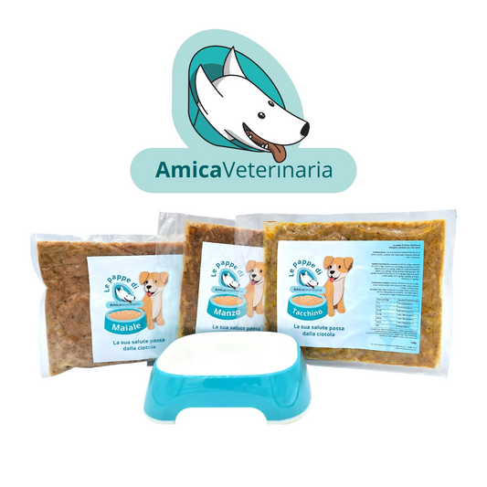 LE PAPPE CASALINGHE DI AMICA VETERINARIA