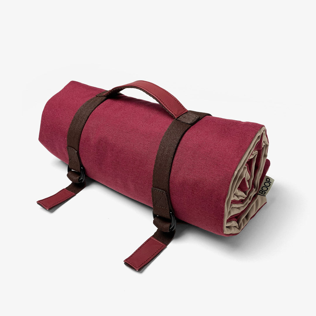 Tappetino stuoia ripiegabile da viaggio per cani impermeabile