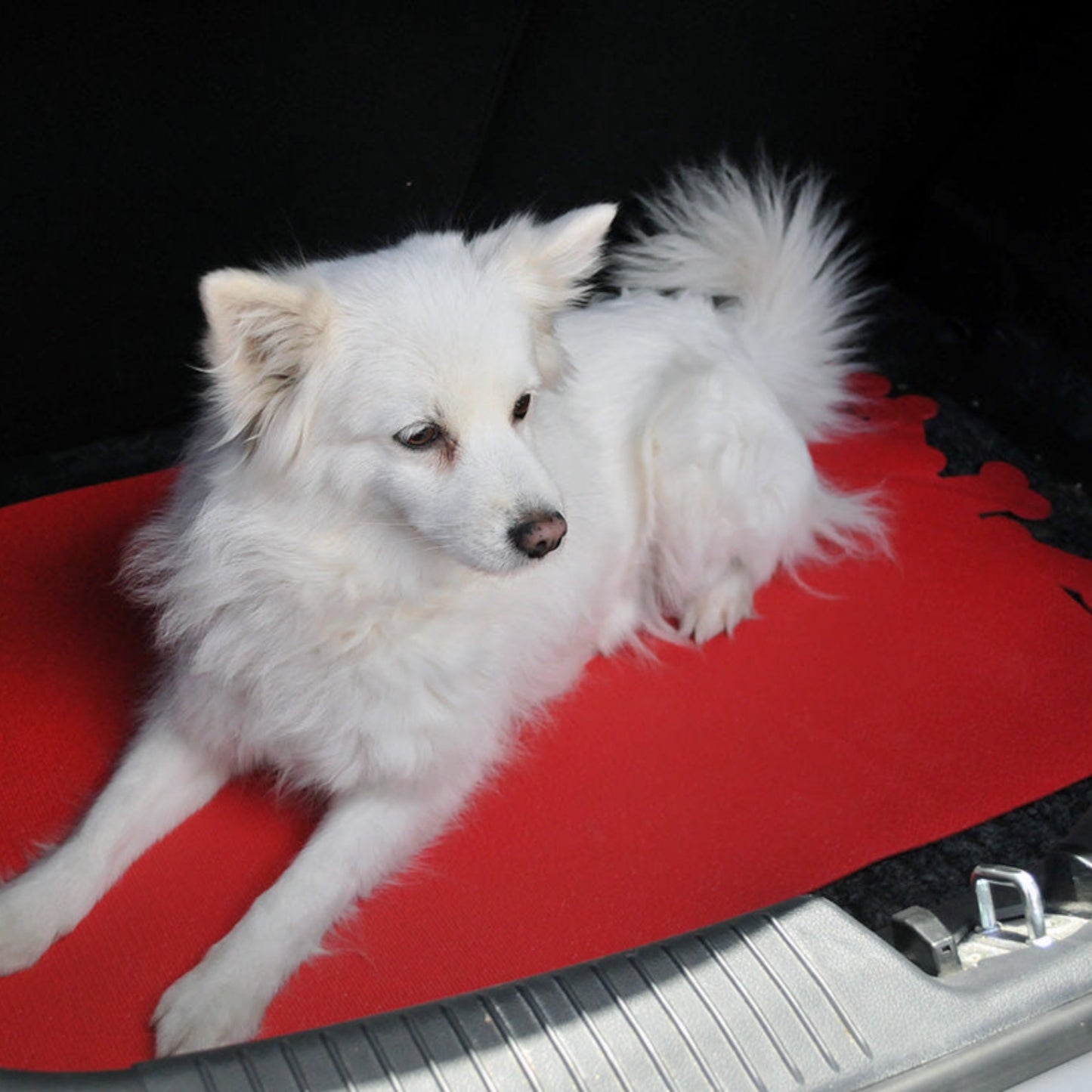 UNITED PET CAR PET TAPPETINO PER AUTO IN PVC