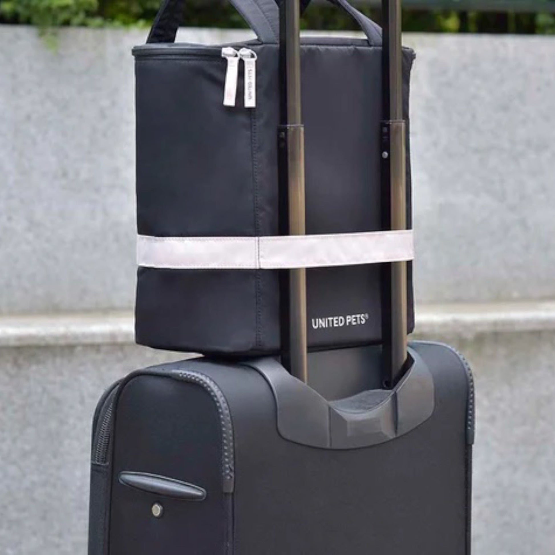 BORSA TROLLEY DA VIAGGIO PET TRAVEL BAG