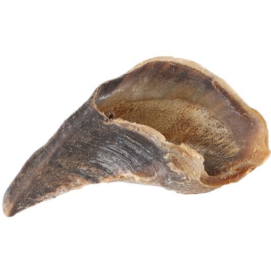 Zoccolo di bovino alimento per cani