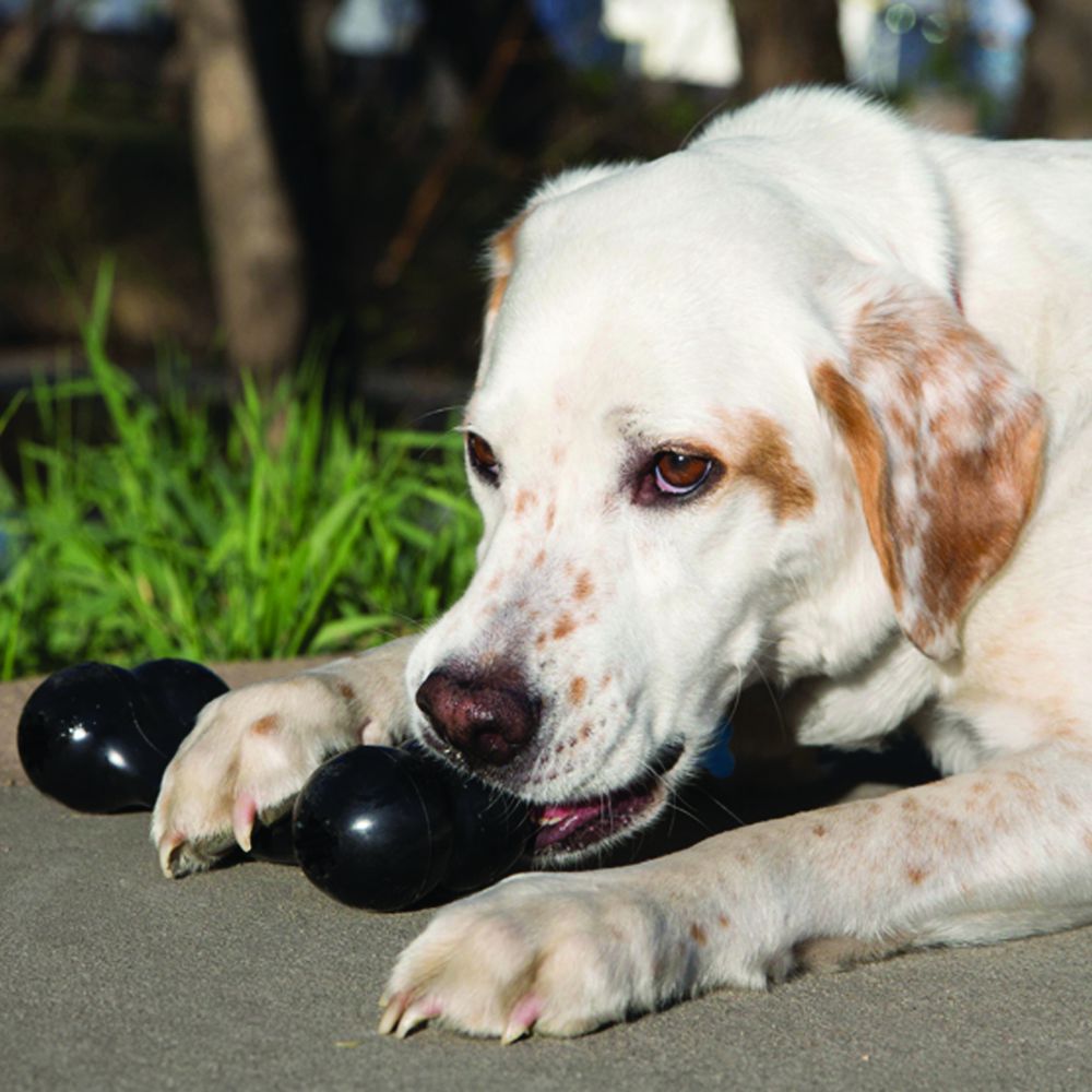 KONG - EXTREME BONE GIOCO PER CANI