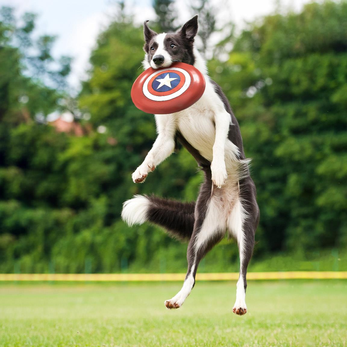 FOR FAN PETS - FRISBEE PER CANI AVENGERS CAPITAN AMERICA