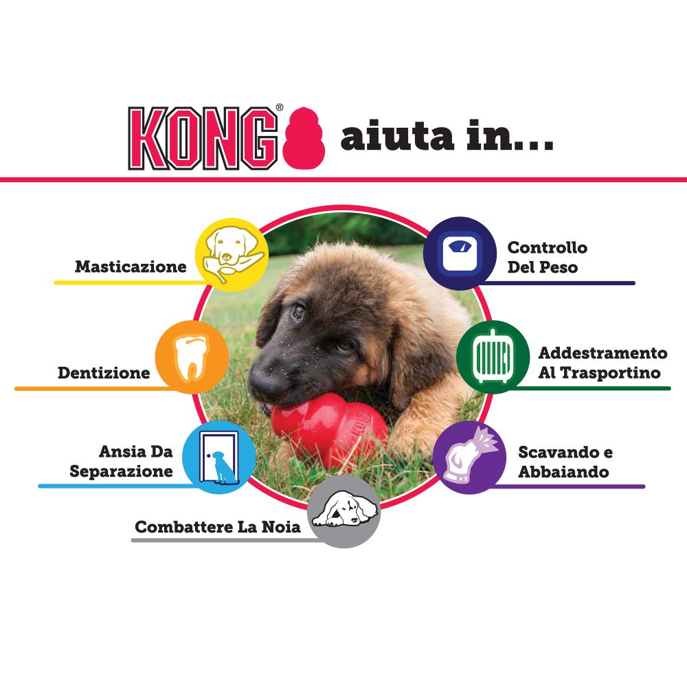 KONG PUPPY GIOCO PER CANI CUCCIOLI