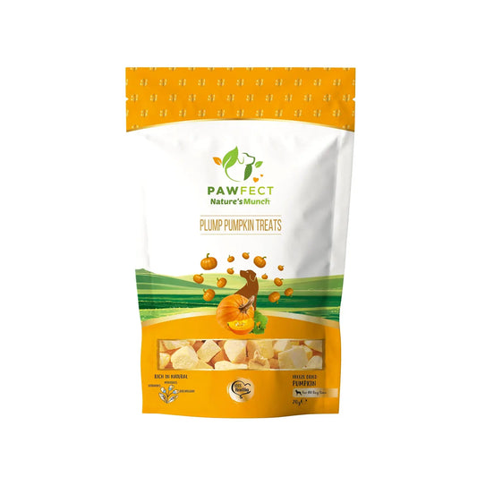 Snack per cani pezzi di zucca naturale liofilizzata