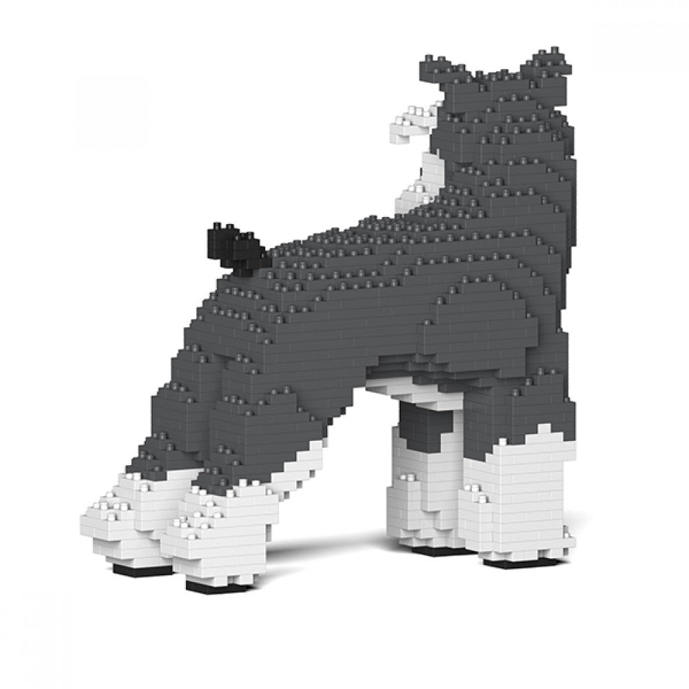 JECKA - SCHNAUZER - Standard Schnauzer 02S-M01