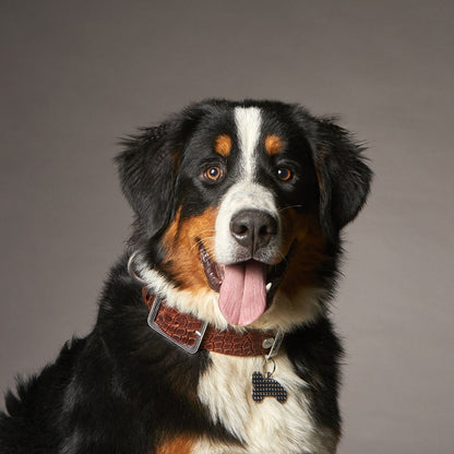 Medaglietta cane osso XL in metallo personalizzabile 