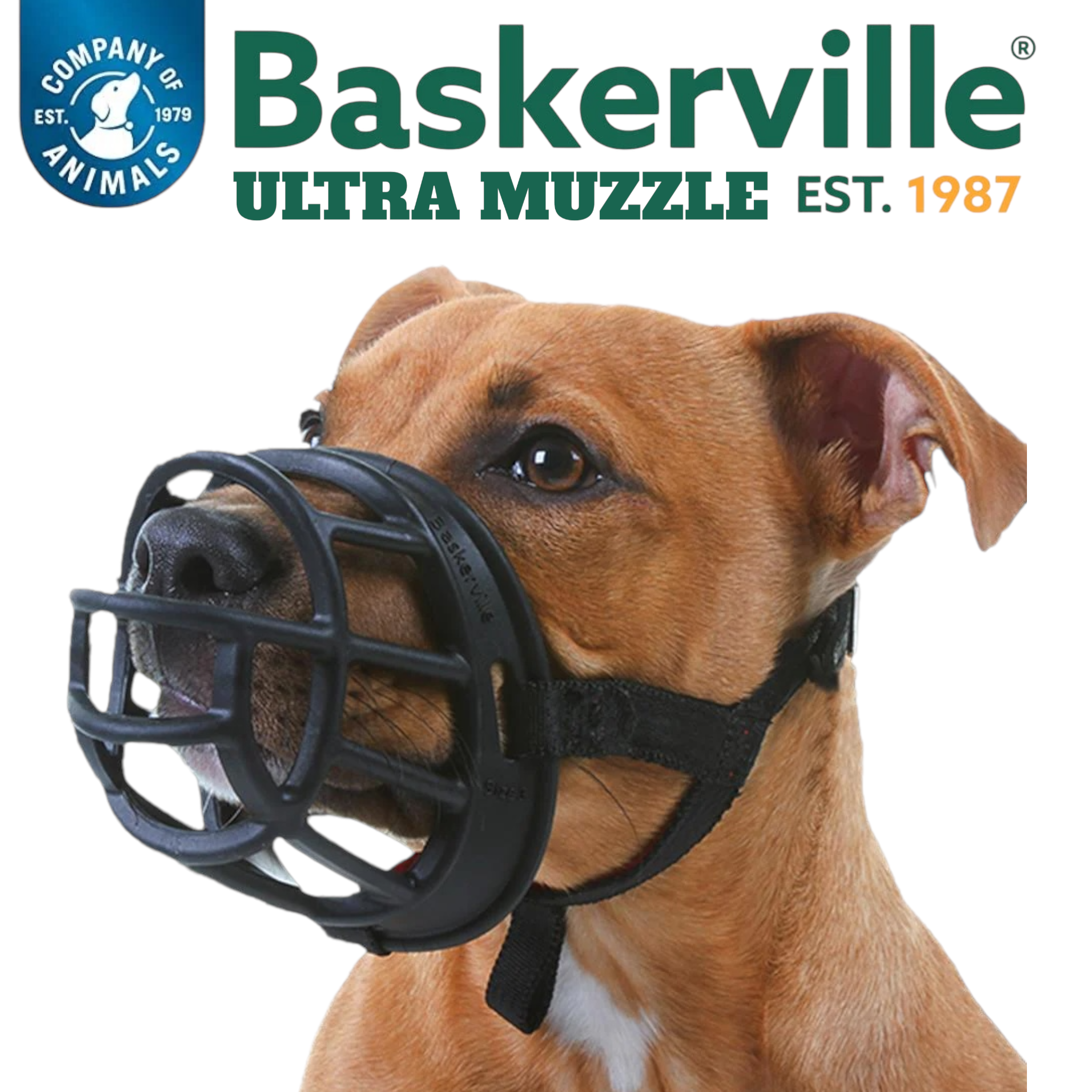 Baskerville Ultra museruola Dog is Good