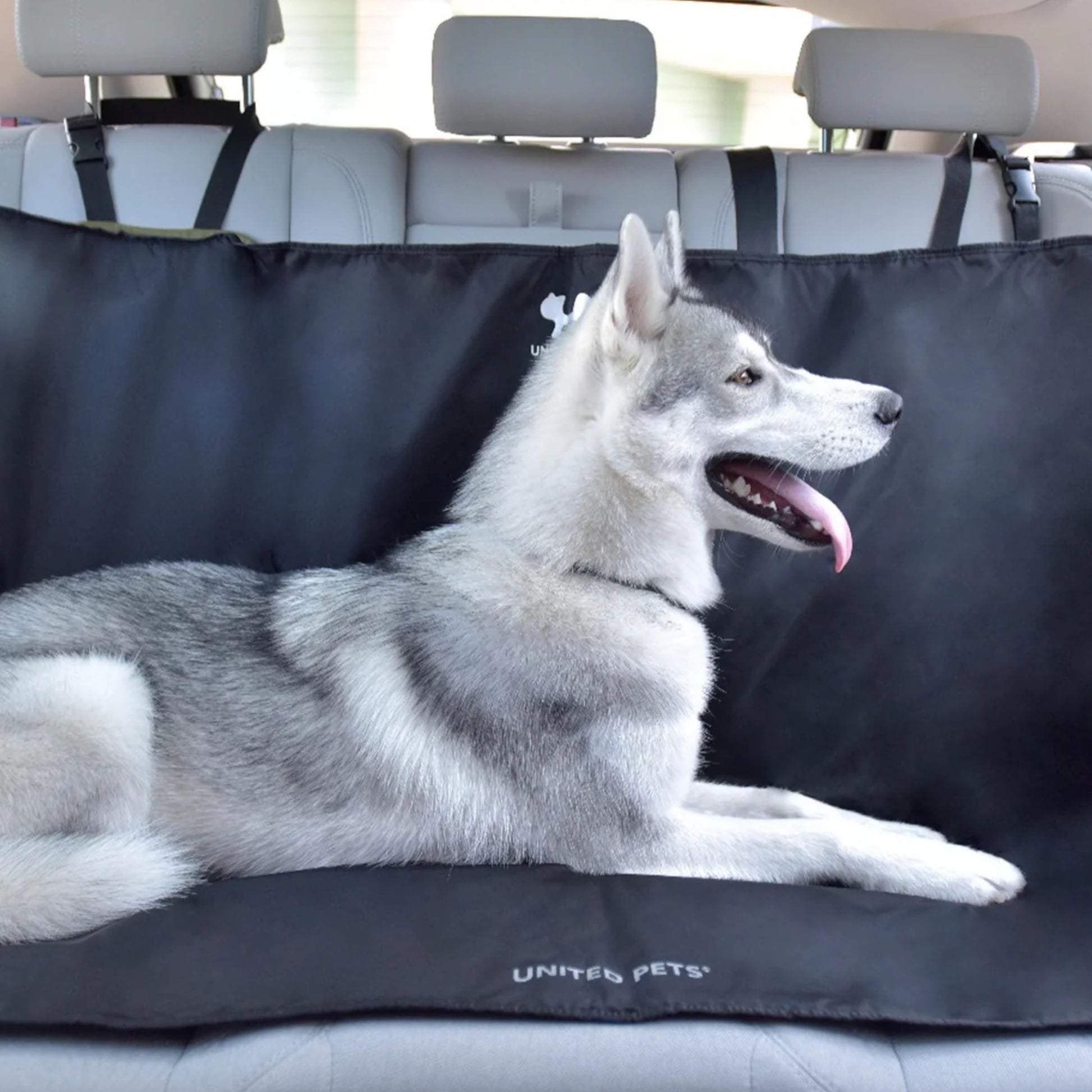 United Pets - Telo Per Cani Proteggi Sedili Bagagliaio Auto – DOG