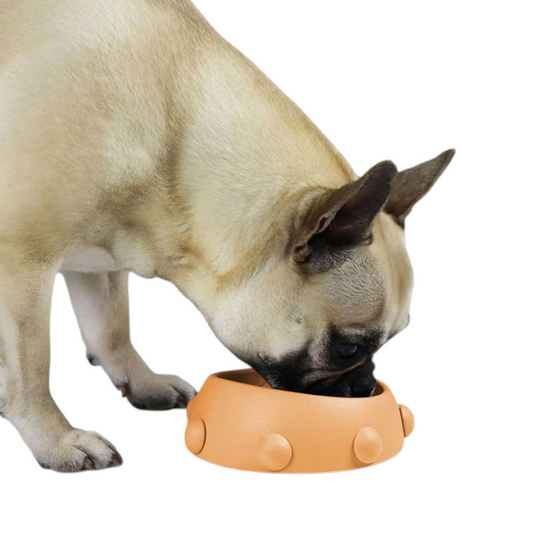 BOWL FOR BULLDOG AND BRACHYCEPHAL BREEDS BOSS DWARF 