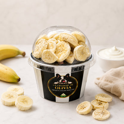 Frozen yogurt per cani gusto Yogurt e Banana – Cremery di Olivia, snack estivo senza lattosio con probiotici | DOG IS GOOD