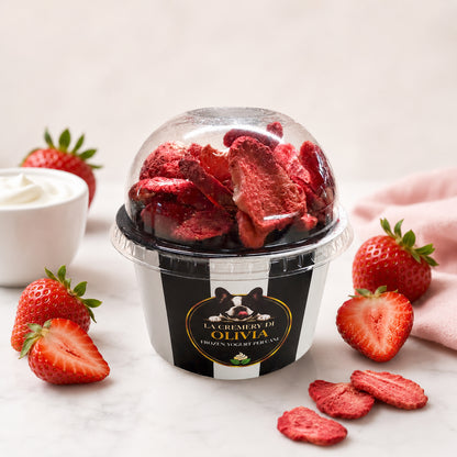 Frozen yogurt per cani gusto Yogurt e Fragole – Cremery di Olivia, snack estivo senza lattosio con probiotici | DOG IS GOOD