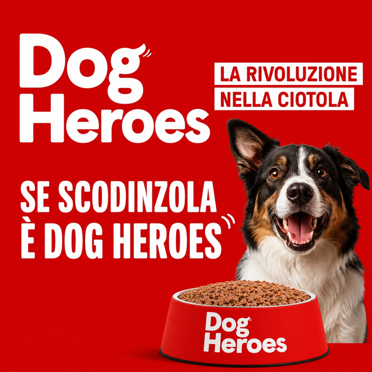 Dog Heroes – cibo fresco per cani, ciotola brandizzata con Border Collie sorridente. Claim: Se scodinzola è Dog Heroes. Pappe monoproteiche senza conservanti – Dog Is Good