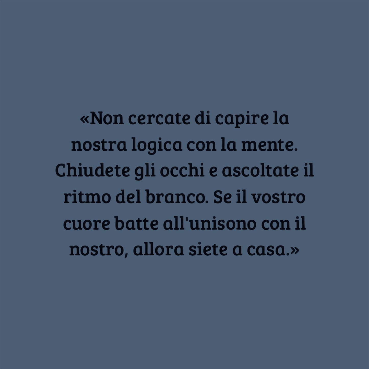 Libro "Il Ritmo del Branco" Storie di cani dell'Asilo Dog is Good.