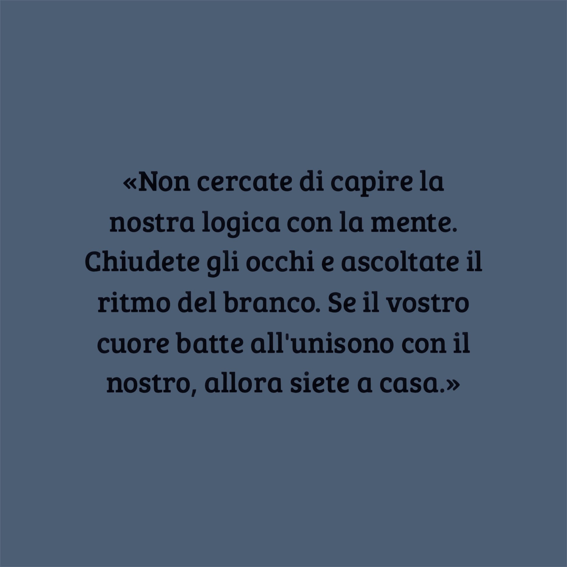 Libro "Il Ritmo del Branco" Storie di cani dell'Asilo Dog is Good.