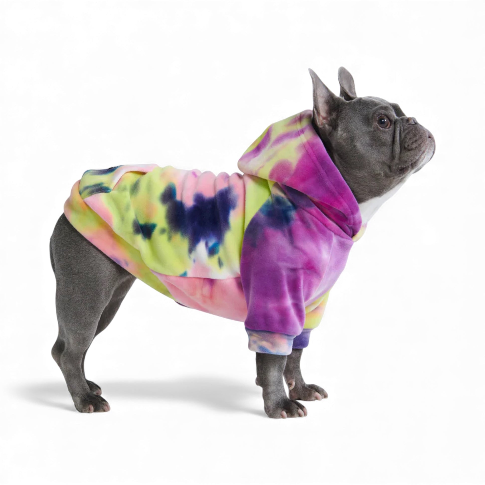 Felpa con cappuccio per cani multhicolore Berry Lemonade