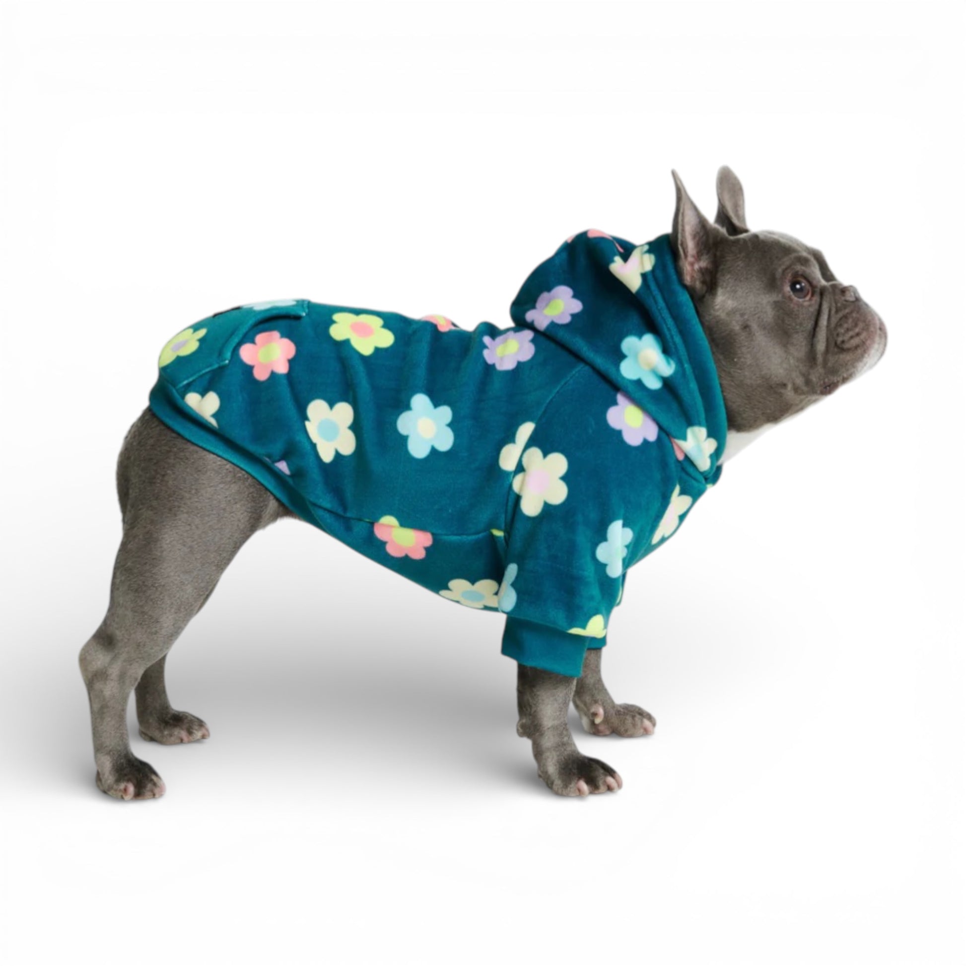 Felpa per cani Spark Paws Daisy