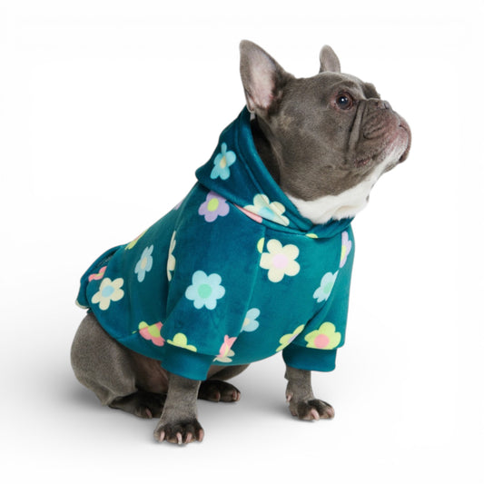 Felpa per cani Spark Paws Daisy