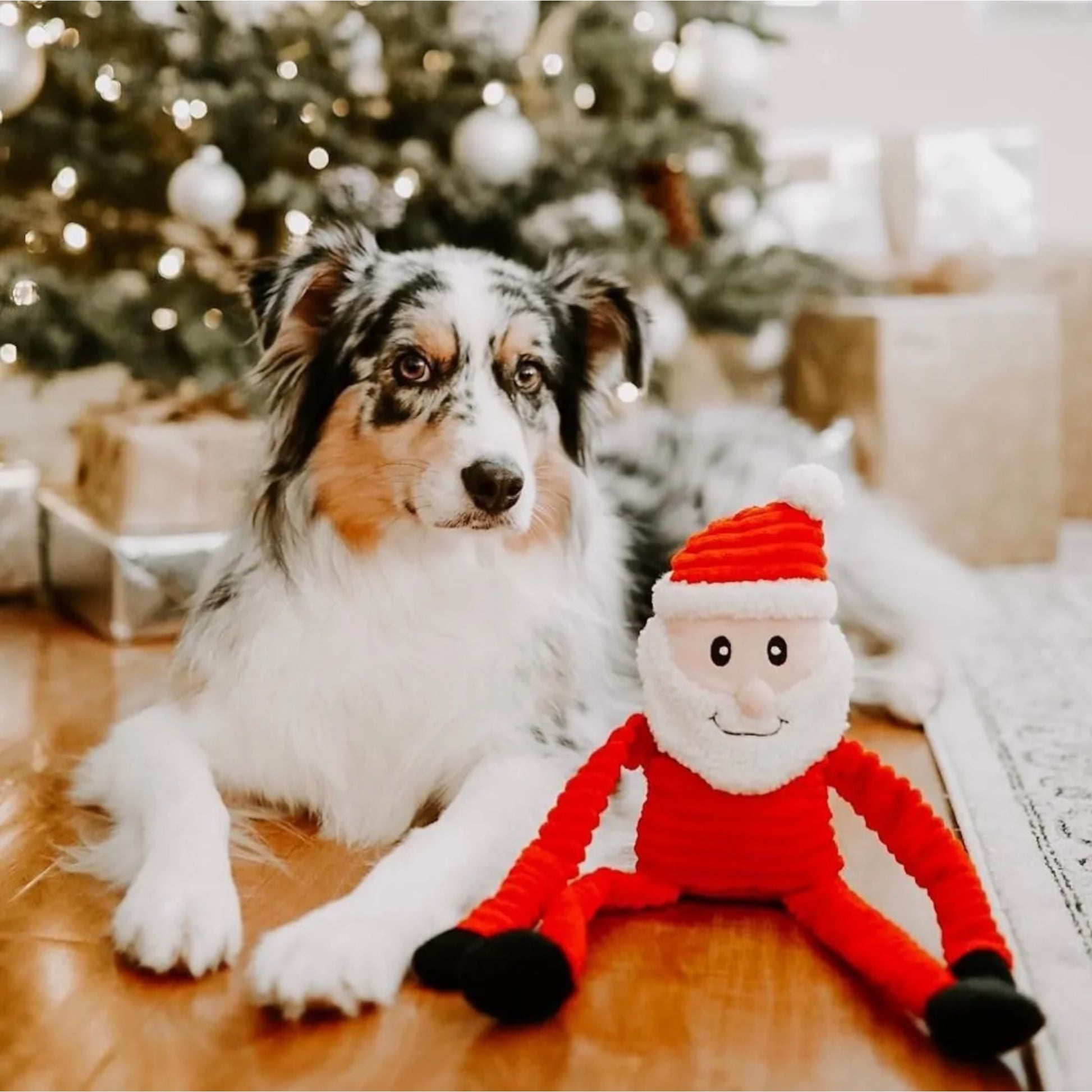 Gioco per cani a forma di Babbo Natale
