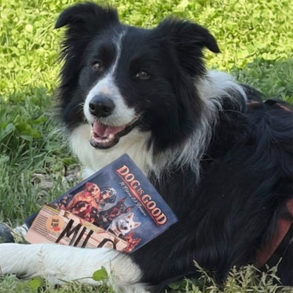 Libro "Il Ritmo del Branco" Storie di cani dell'Asilo Dog is Good.