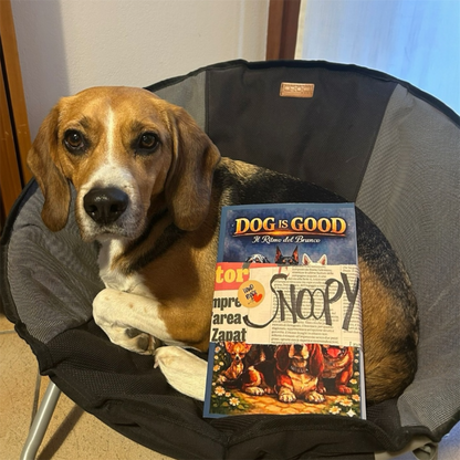 Libro "Il Ritmo del Branco" Storie di cani dell'Asilo Dog is Good.