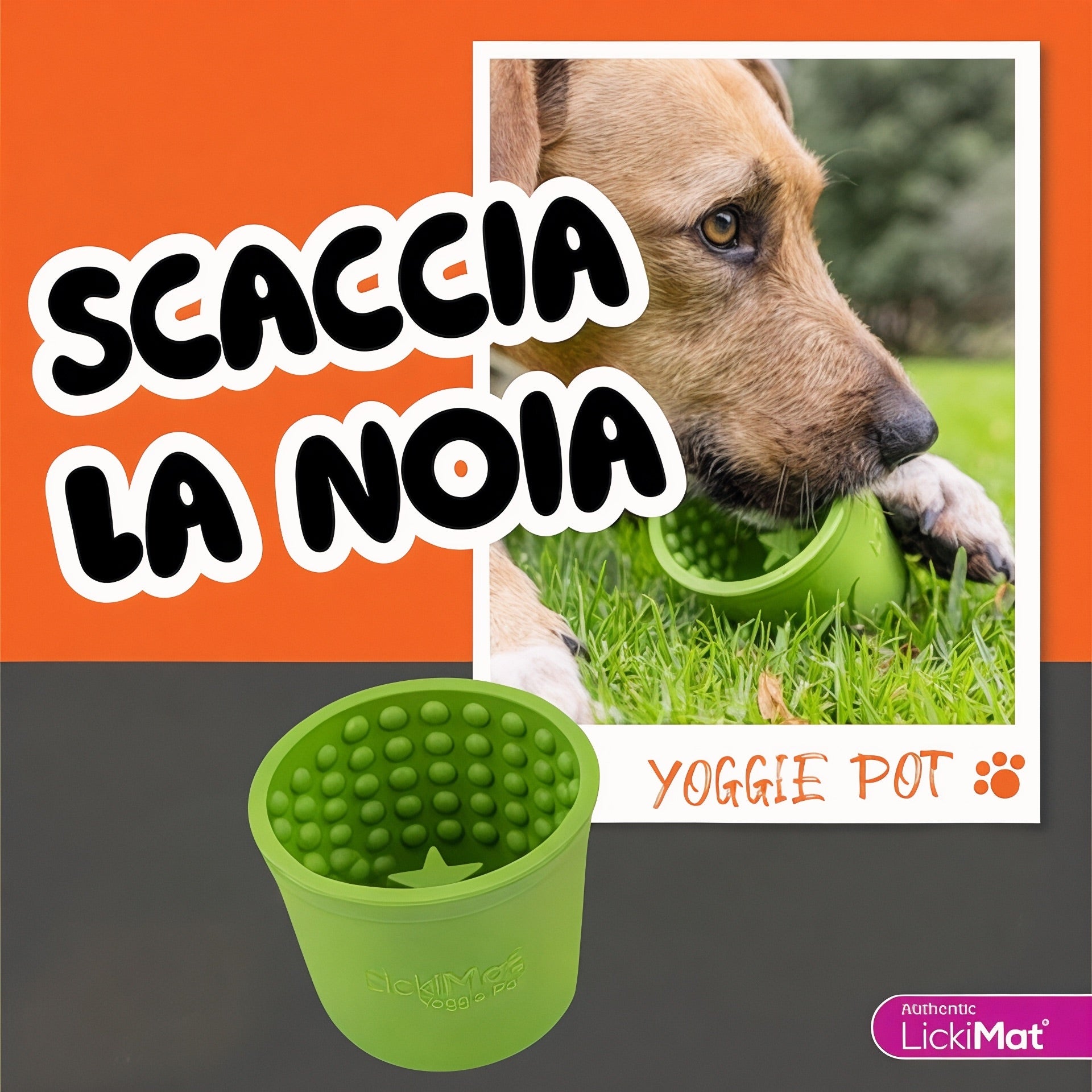 Antistress per cani Yoggie Pot