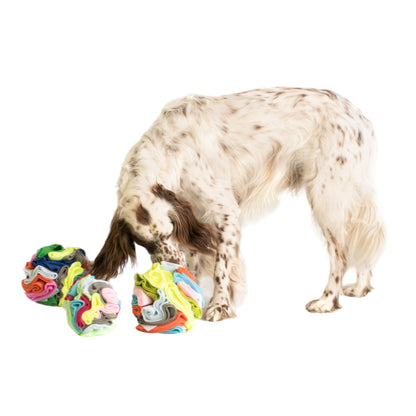 Palla Olfattiva gioco per cani dove nascondere premietti