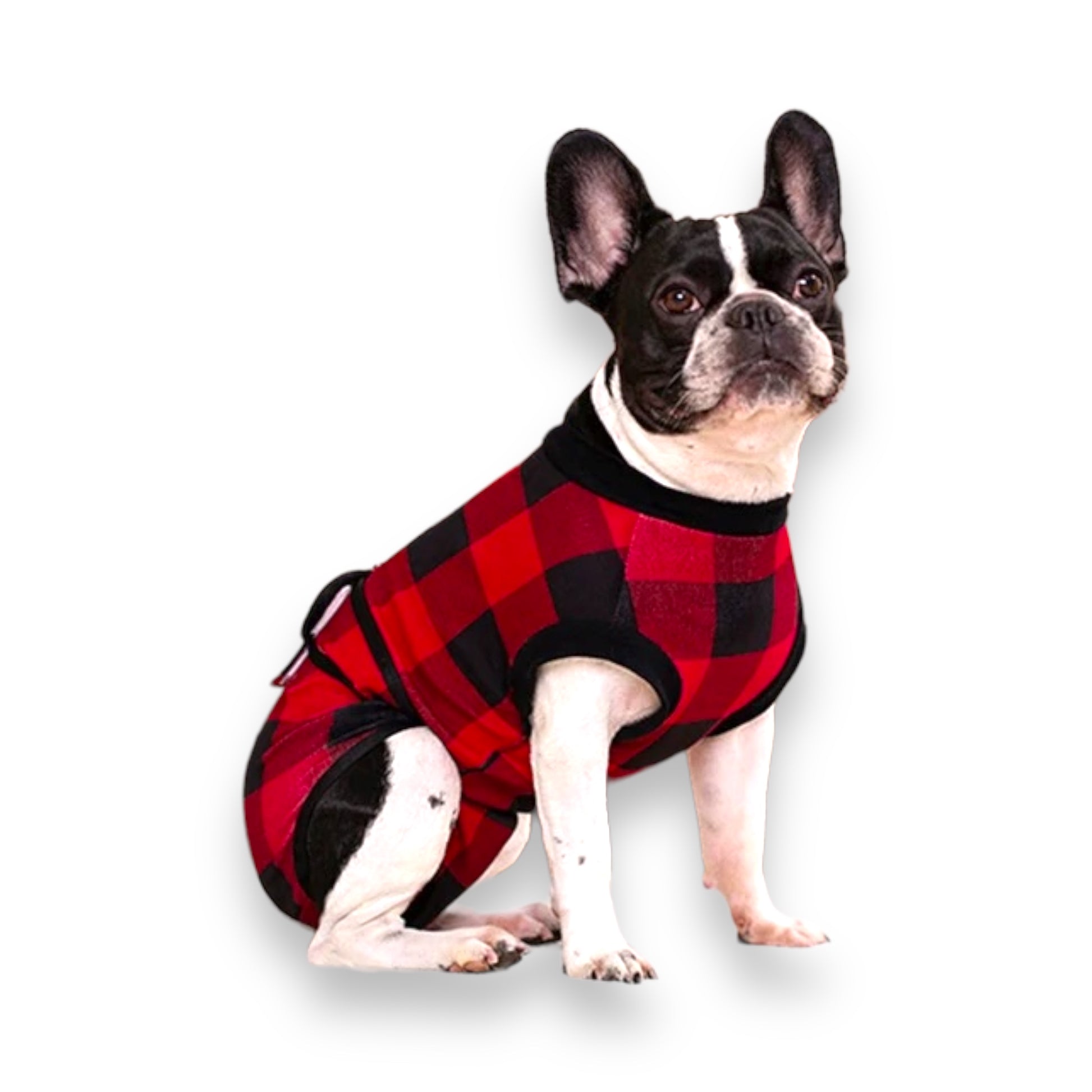 Body Post-Operatorio Per Cani DENTRUN - Pigiama Elastico Dopo Sterilizzazione - Foto 4