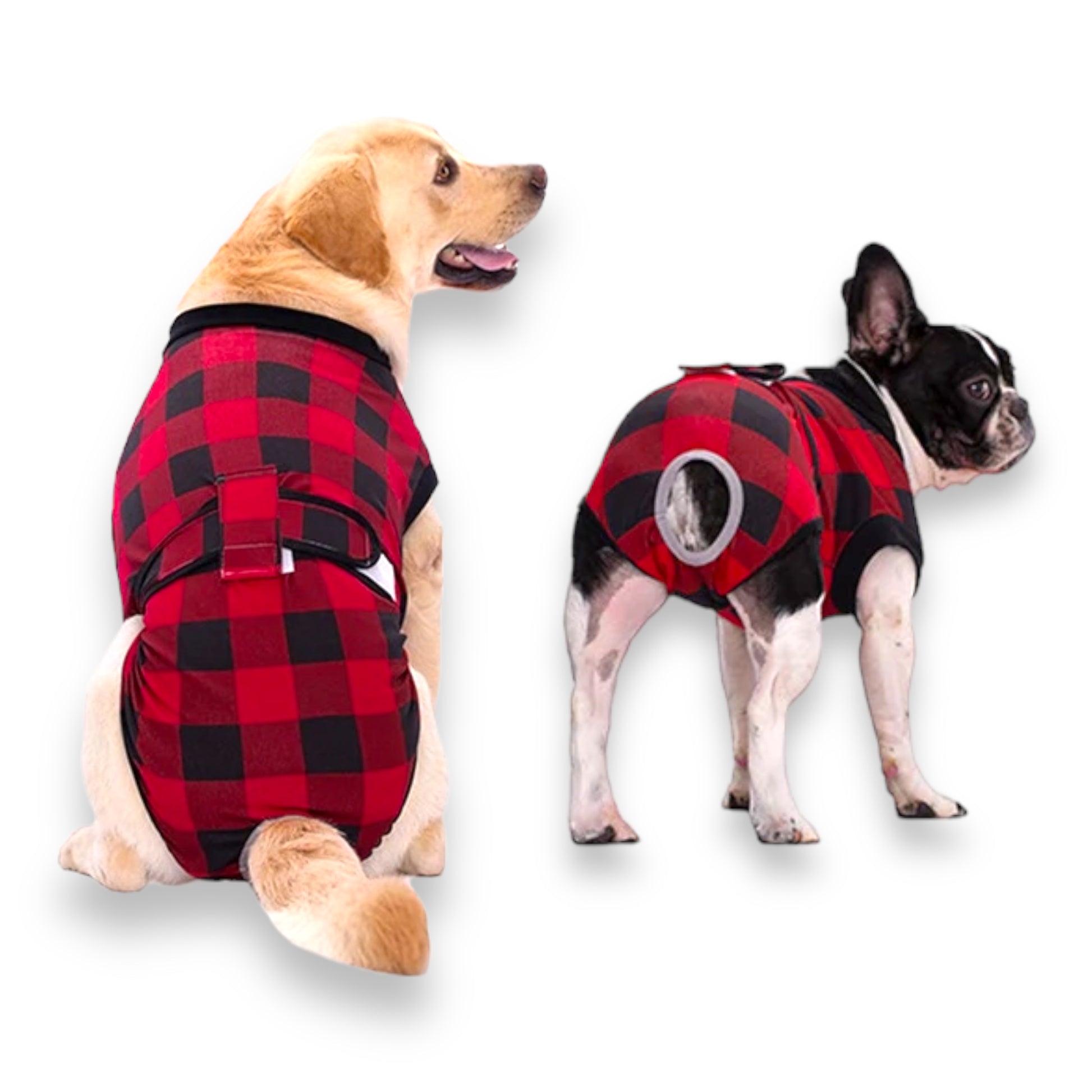 Body Post-Operatorio Per Cani DENTRUN - Pigiama Elastico Dopo Sterilizzazione - Foto 5