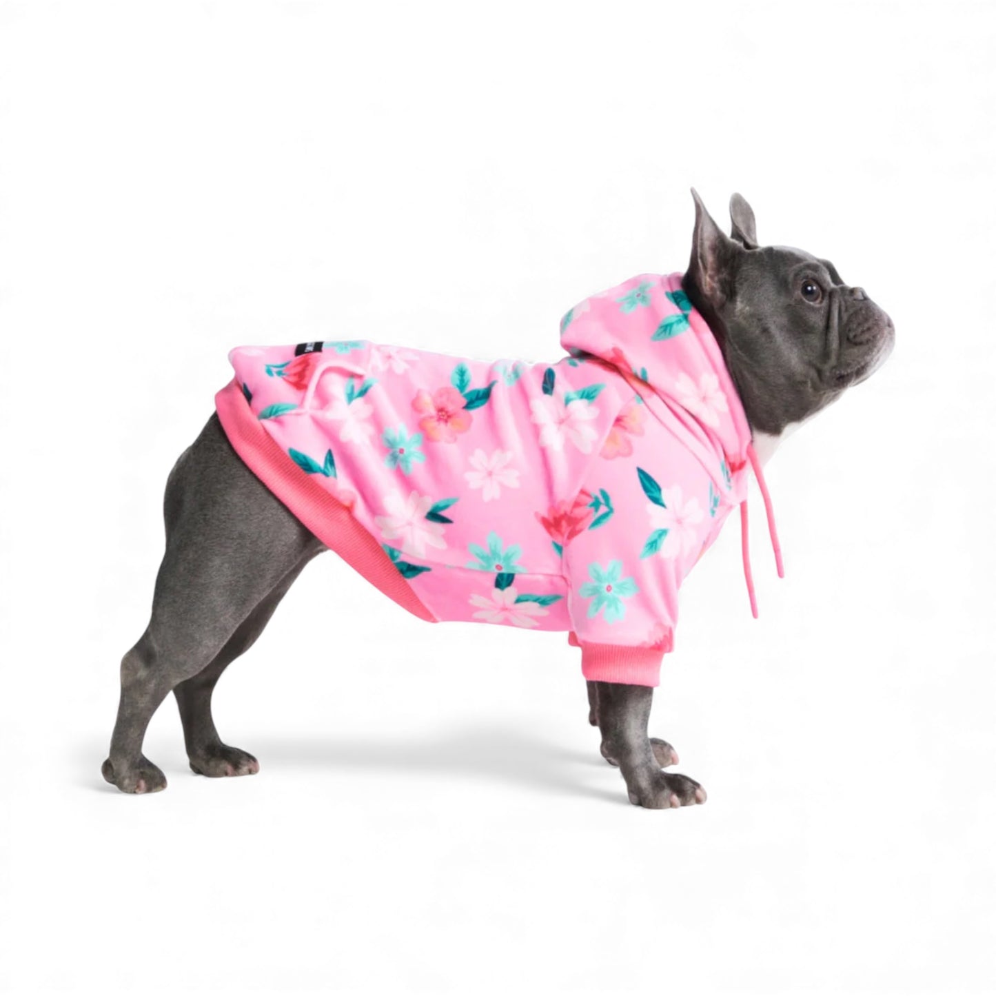 Felpa per cani Blossom Pink rosa