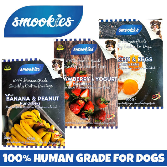 Biscotti premium per cani con ingredienti human grade