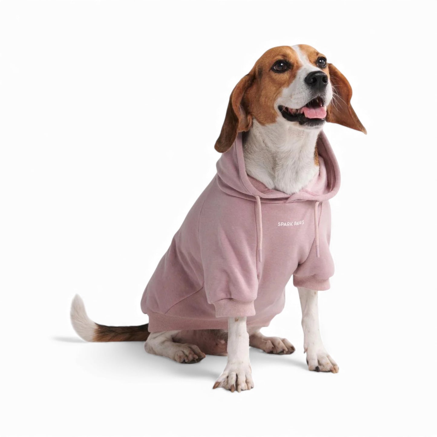 FELPE CON CAPPUCCIO ESSENTIAL