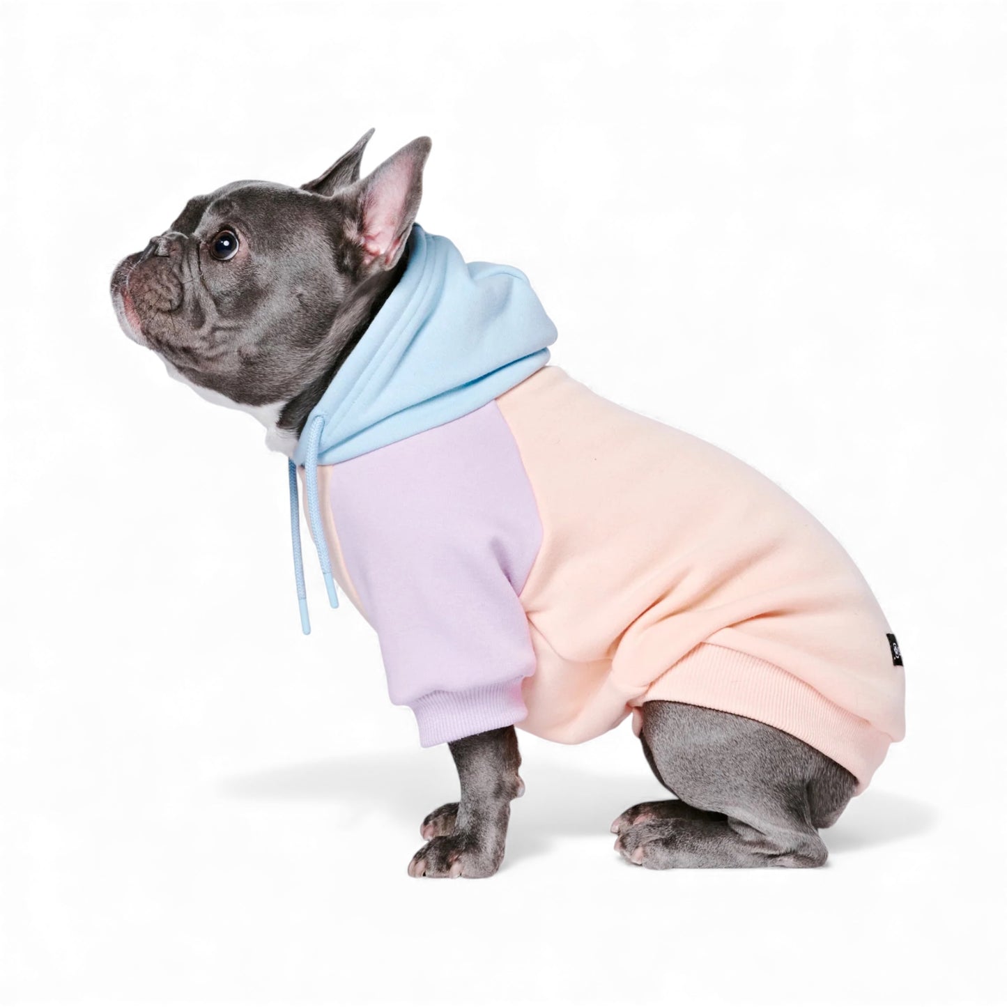 Felpa per cani Spark Paws Cotton Candy