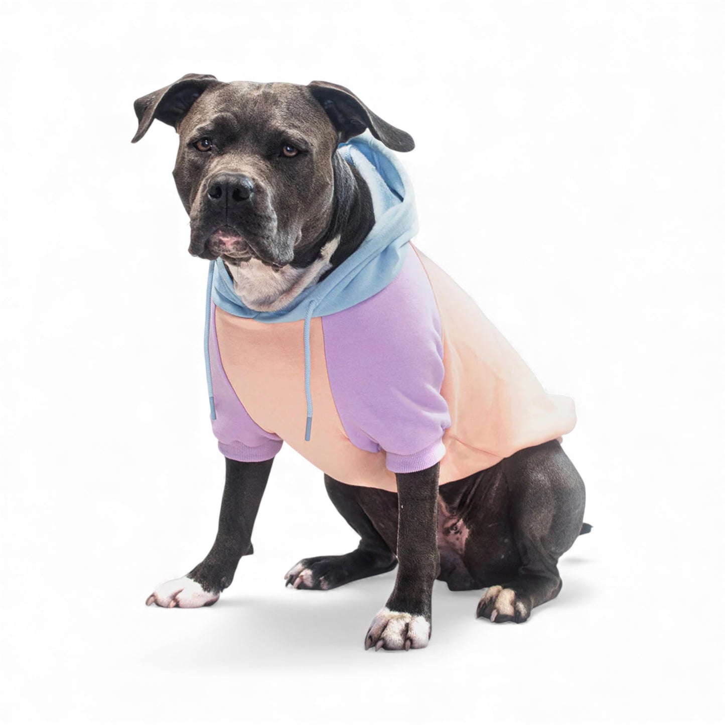 Felpa per cani Spark Paws Cotton Candy