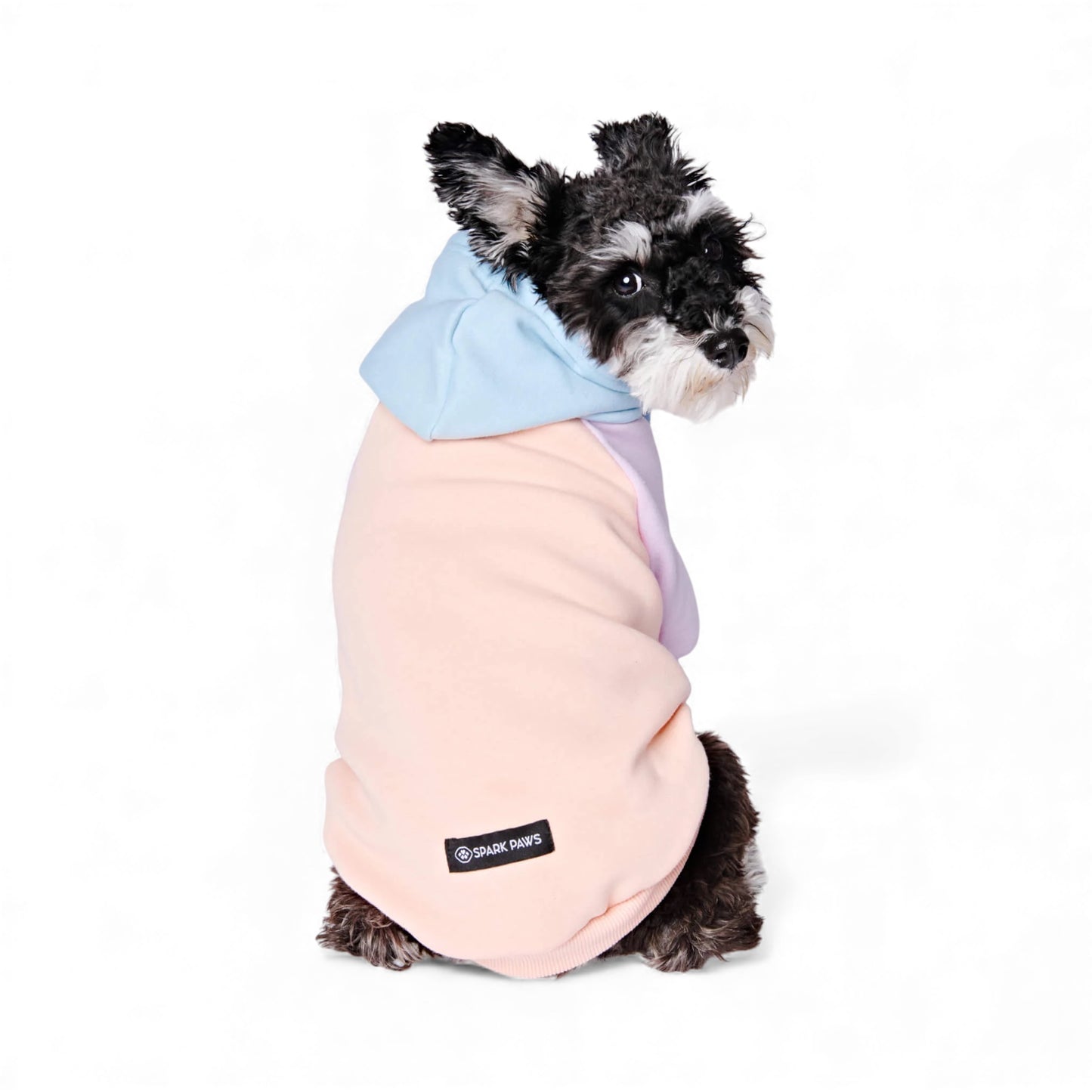 Felpa per cani Spark Paws Cotton Candy