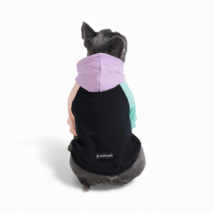 Spark Paws felpa per cani con cappuccio multicolore