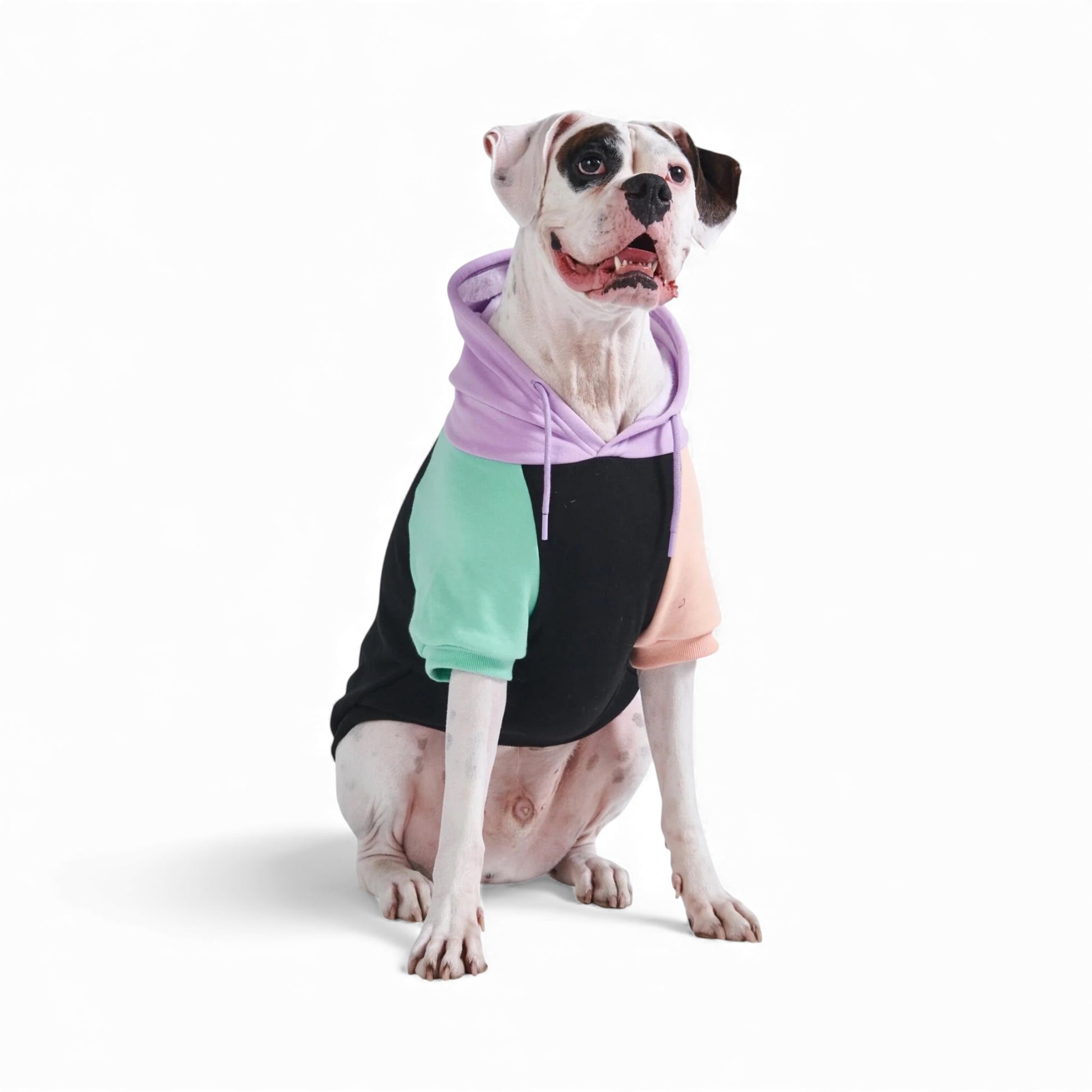 Spark Paws felpa per cani con cappuccio multicolore