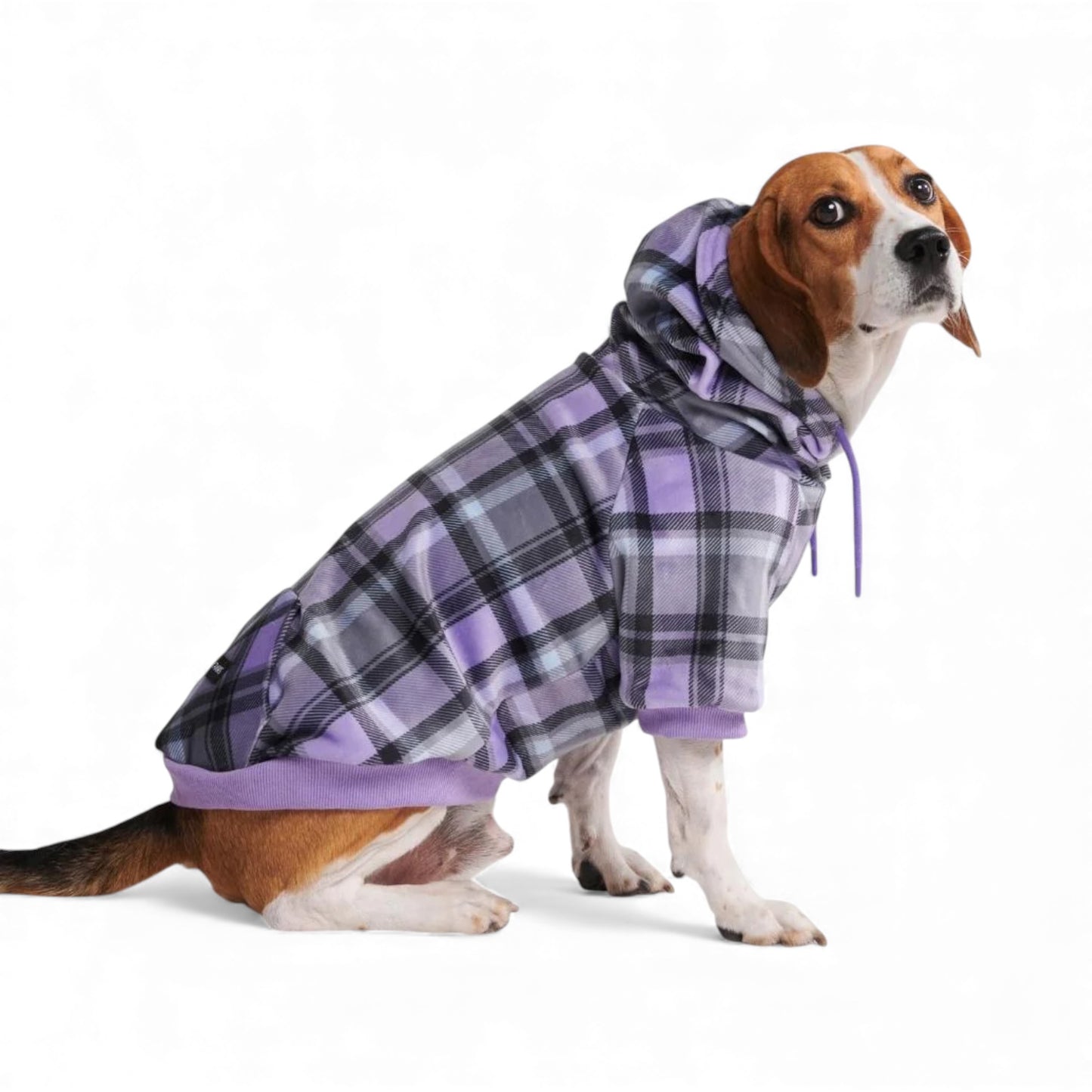Felpa per cani scozzese lilla Purple Plaid