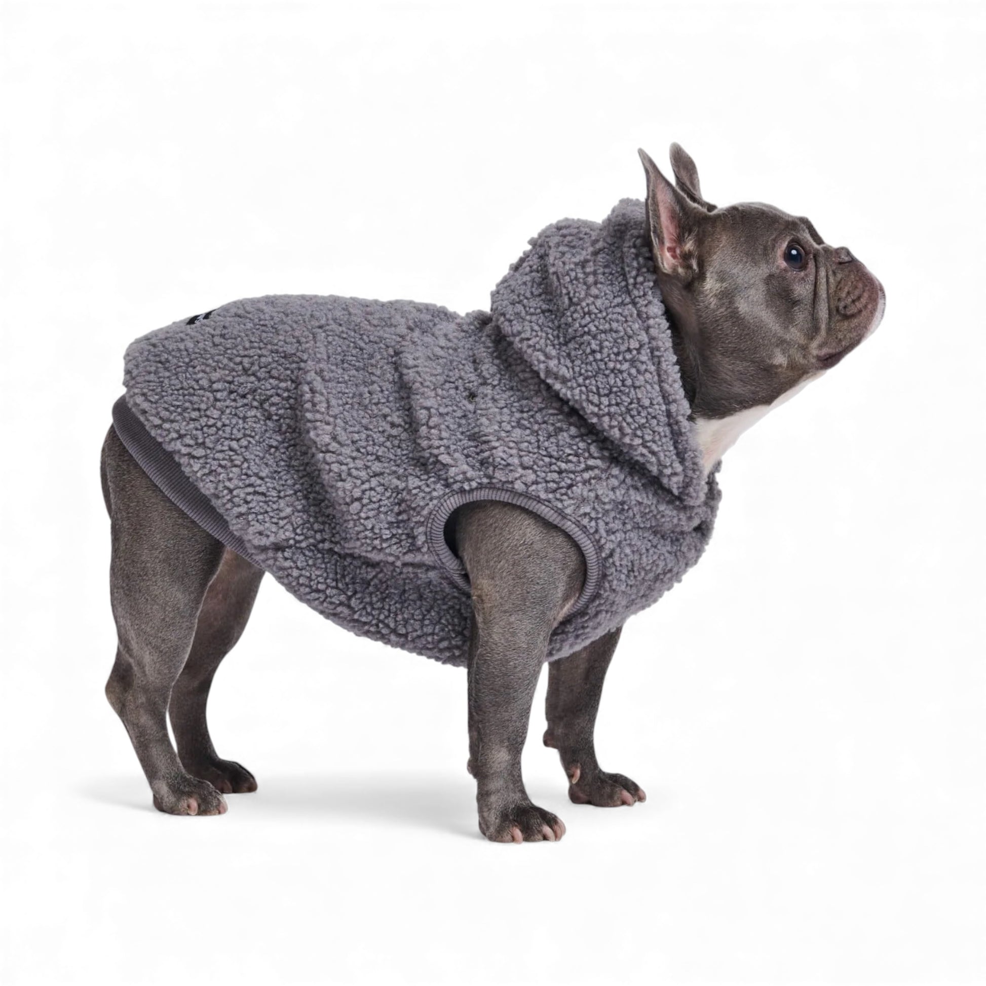 Felpa per cani in peluche Teddy Sherpa grigia